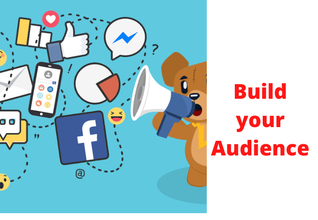 Build your Audience