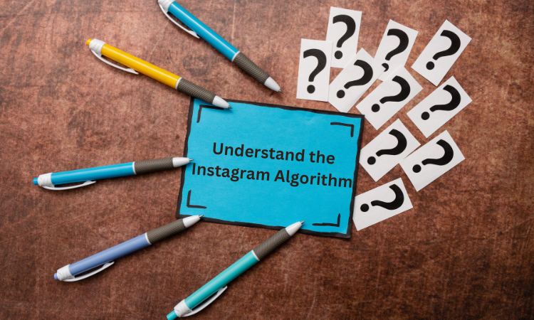 Understand the Instagram Algorithm: