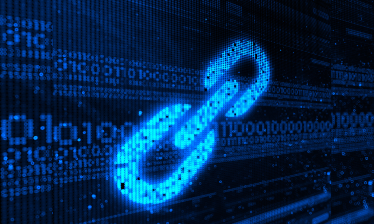 Link Building Opportunities